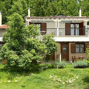 κέδρος Neochori (Chalkidiki)